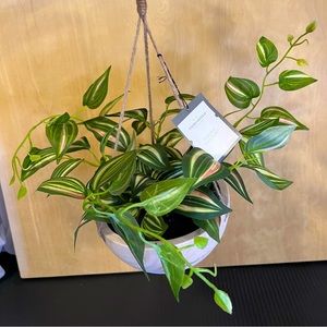 NEW: Threshold Faux Plant